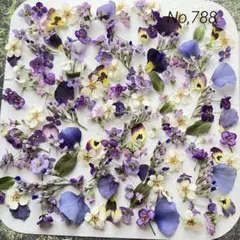 No,788 特小小花ミックス　ドライフラワー花材
