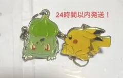 ポケモン Fan of PIKACHU&EIEVUI メタルチャーム - メルカリ