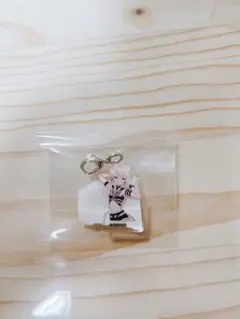 ホロライブ ホロナツパラダイス アクリルチャーム モココアビスガード フワモコ