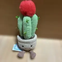 廃盤 新品 ジェリーキャット サボテン さぼてん 覇王樹 植物