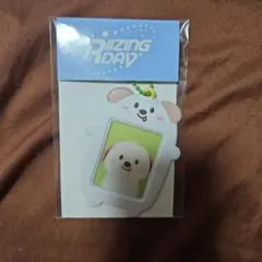 riize アントン　キーホルダー　未開封