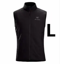 ぷ*ょ様 デッドストック　新品　アークテリクスアトムSLベスト　バードワードロゴ 2026年最新】arc'teryx atom sl ベストの人気アイテム - メルカリ