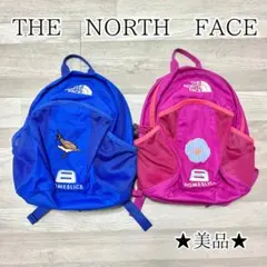 ★美品★THE NORTH FACE HOMESLICE リュック 2色セット