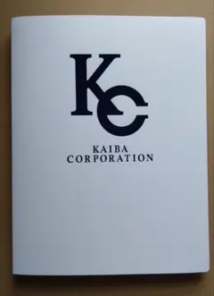 遊戯王　クリアファイルセット