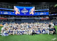 ❣️商談中❣️ たまひょ様　専用ページ