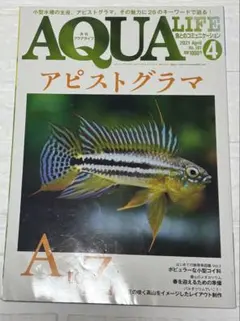 アクアライフ 2021年4月号 アピストグラマ特集