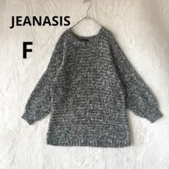 美品 JEANASIS ジーナシス F ブークレ モヘヤ混 メランジニット