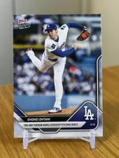 Item thumbnail for item 9b8428d1-0354-4a87-bb68-8e3d4396d97e