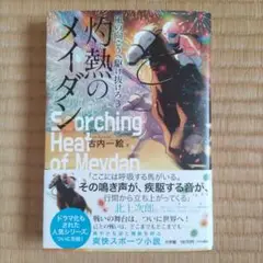 風の向こうへ駆け抜けろ3 灼熱のメイダン