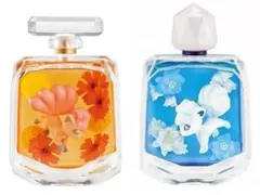 ポケモン プチフルール ハーバリウム風フィギュア ロコン アローラロコン セット