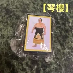 【新品】琴櫻　明け荷キーホルダー