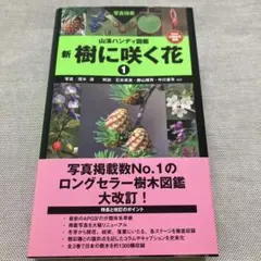 Item thumbnail for item d860a6b2-01ac-4b79-8c93-f1dcafcfddd0