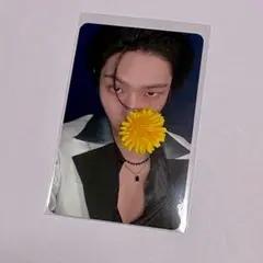 Item thumbnail for item 596b15fe-fa21-4125-9788-b8dadbd65483