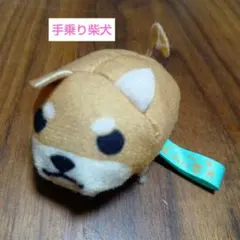 Item thumbnail for item 5bfe5412-15d6-4bb6-ab05-6eadb021b33a