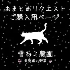 きぃぴぃ様 リクエスト 2点 まとめ商品