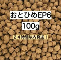 日清丸紅飼料 おとひめEP6 100g 沈下性 観賞魚用フードのサムネイル