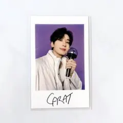 SEVENTEEN FOLLOW AGAIN インスタントフォト ウォヌ