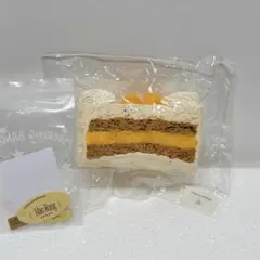 Maorong マオロン　スクイーズ　マンゴー　チョコケーキ