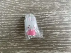 めじるしアクセサリーサンリオオールスターズ チアリーチャム