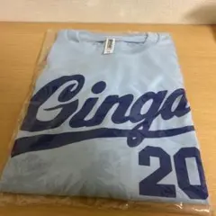 いわて銀河ウルトラマラソン　Tシャツ　LLのサムネイル