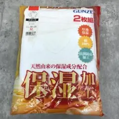 GUNZE メンズ インナーシャツ 長袖V首シャツ Mサイズ 2枚組　4288