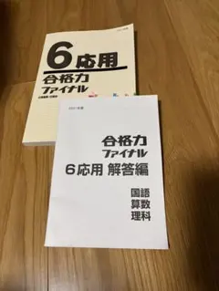 Item thumbnail for item e34e0955-ce19-430e-8193-769b7c154516