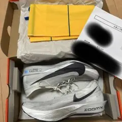 ストリークフライ2 27.0