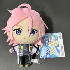 あんさんぶるスターズ ぬいぐるみ 新衣装 crazy:b 桜河こはく - メルカリ