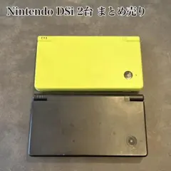 動作確認済み ニンテンドー DSi本体 2台 まとめ売り Nintendo