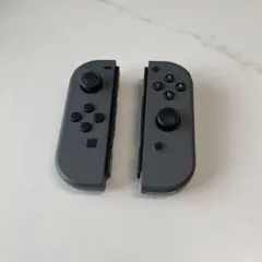Nintendo Switch 純正ジョイコン グリップセット グレー