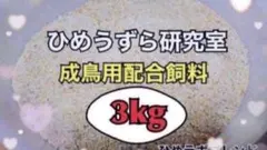 2026年最新】ヒメウズラの人気アイテム - メルカリ