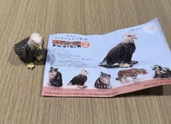 2026年最新】ハクトウワシの人気アイテム - メルカリ