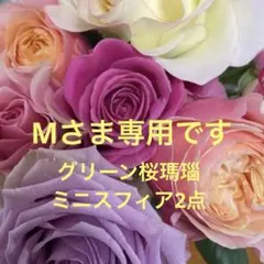 みき様 リクエスト 2点 まとめ商品