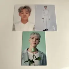 SEVENTEEN セブチ トレカ　ホシ