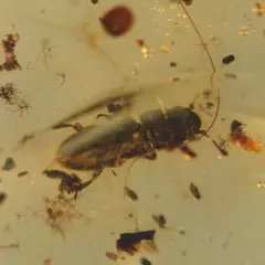 ケイト様 リクエスト 2点 まとめ商品