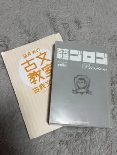 Item thumbnail for item 020cdb74-8efe-49eb-9daa-8336b6e17f1c