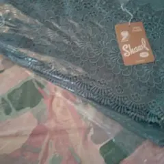 Item thumbnail for item f1955933-ba7b-423d-a6a1-48824efae23b