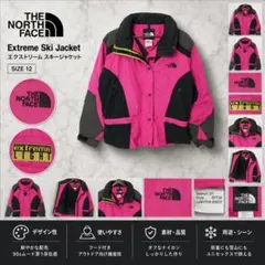 4303 90s THE NORTH FACE スキージャケット ヴィンテージのサムネイル