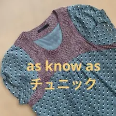 アズノウアズ　　as know as チュニック 袖シアー　体型カバー　ガーリー