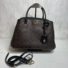 55 コーチ　 COACH ハンドバッグ シグネチャー　2WAY