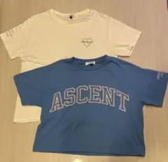 ピンクラテ Pink lat teams Tシャツ 2枚セット XS S
