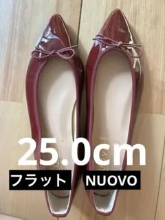 NUOVO フラットシューズ ワインレッド 赤 25.0 リボン パンプスのサムネイル