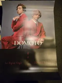 DOMOTO 新品ポスター　 B2サイズ