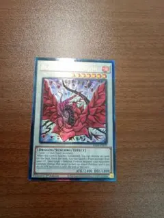 2026年最新】遊戯王 1stの人気アイテム - メルカリ