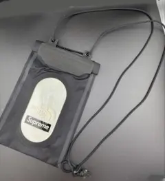 Item thumbnail for item 4d9b8f00-e324-485e-954a-1a9f8f1f3f5e