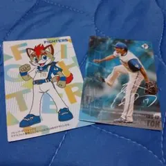 カルビープロ野球チップス2025 ファイターズ トレーディングカード2枚セット