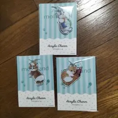 ファミリーマート　ファミマ　モフサンド　アクリルチャーム