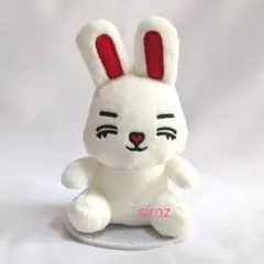 MINITEEN CHOITCHERRY エスクプス セット SEVENTEEN エスクプス miniteen CHOITCHERRY セット アイドル