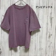 アンビデックス　ボーダー半袖トップスのサムネイル