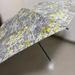 Item thumbnail for item 1de62f50-5dc3-4ee1-9ef1-a979ecd199dd